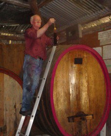 Helm Wines - Tourism Adelaide 5