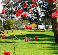The Yass Golf Club - Tourism Adelaide