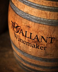T'Gallant Winemakers - Tourism Adelaide 0