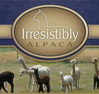 Marchmont Park Alpacas - Tourism Adelaide