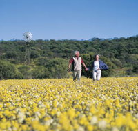 Koolanooka Springs - Tourism Adelaide