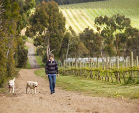 Willow Creek Vineyard - Tourism Adelaide 1
