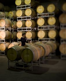 Willow Creek Vineyard - Tourism Adelaide 2
