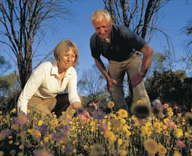 Canna ACT Tourism Adelaide