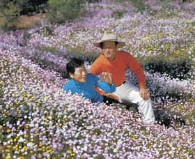 Canna Reserve - Tourism Adelaide 3