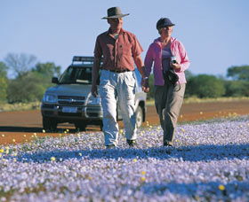 Canna Reserve - Tourism Adelaide 2
