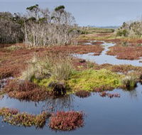 French Island National Park - Tourism Adelaide