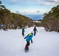 Mt Baw Baw Alpine Resort - Tourism Adelaide