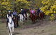 Burnelee Excursions On Horseback - thumb 0