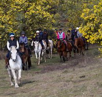 Burnelee Excursions on Horseback - Tourism Adelaide