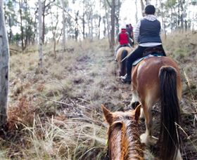 Burnelee Excursions On Horseback - Tourism Adelaide 1