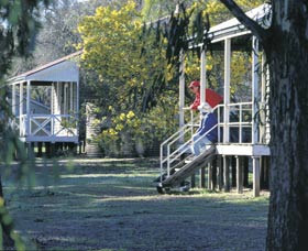 Dryandra Woodland - Tourism Adelaide 0
