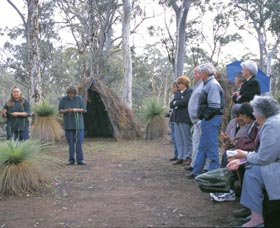 Dryandra Woodland - Tourism Adelaide 2