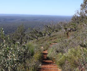 Dale WA Tourism Adelaide