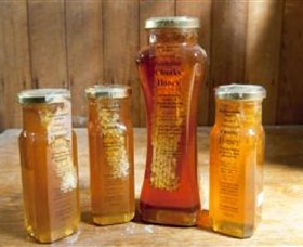 Odgers And McClelland Exchange Stores - Tourism Adelaide 1