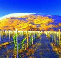 Surveyors Hill Winery - Tourism Adelaide
