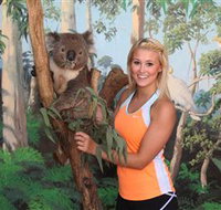 Maru Koala and Animal Park - Tourism Adelaide