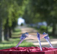 Lillico Glass Studio - Tourism Adelaide