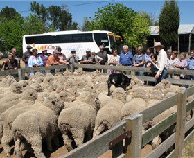 Charlemont ACT Tourism Adelaide