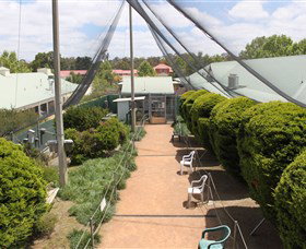 Canberra Walk In Aviary - Tourism Adelaide 2