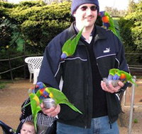 Canberra Walk In Aviary - Tourism Adelaide
