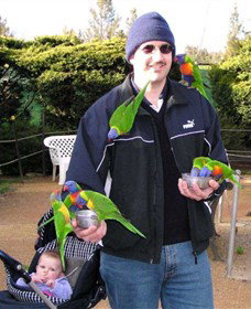 Canberra Walk In Aviary - Tourism Adelaide 0