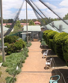 Canberra Walk In Aviary - Tourism Adelaide 3