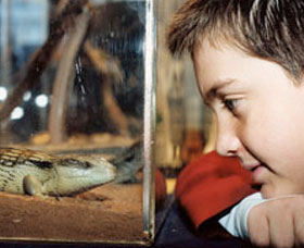 Canberra Reptile Zoo - Tourism Adelaide 0