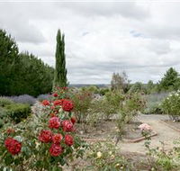 Crystal Brook Lavender Farm