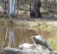 Mulligans Flat - Tourism Adelaide