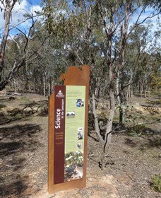 Mulligans Flat - Tourism Adelaide 1