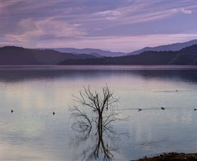 Scone NSW Tourism Adelaide