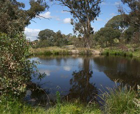 Cooleman Ridge - Tourism Adelaide 0