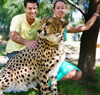 National Zoo  Aquarium - Tourism Adelaide