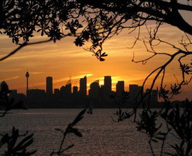 Joeys Walkabout - Tourism Adelaide 6