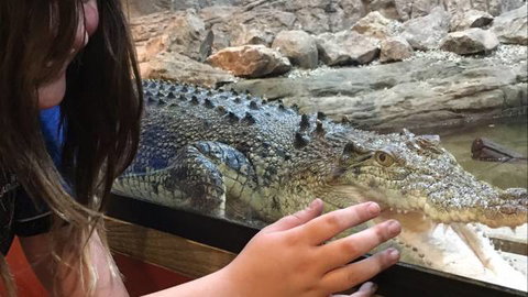Canberra Reptile Zoo - Tourism Adelaide 3