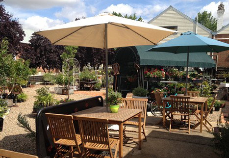 Mayfield Mews - Tourism Adelaide 0