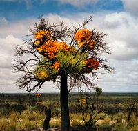 The Delmar Gallery - Tourism Adelaide