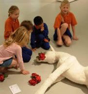 Windsor NSW Tourism Adelaide