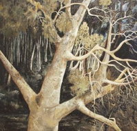Ku-Ring-Gai Art Centre  Gallery - Tourism Adelaide
