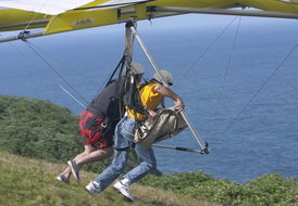 Book Newcastle NSW Attractions Tourism Adelaide Tourism Adelaide
