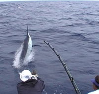 Amokura Charters - Tourism Adelaide