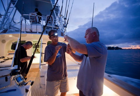 Amokura Charters - Tourism Adelaide 1