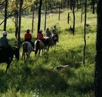 Hunter Valley Horse Riding and Adventures - Tourism Adelaide