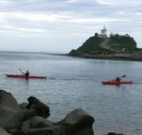 Newcastle Kayak Tours - Tourism Adelaide