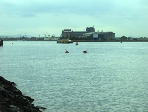 Newcastle Kayak Tours - Tourism Adelaide 5