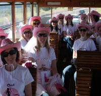 Newcastles Famous Tram - Tourism Adelaide