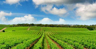 Sydney Weekend Adventures - Tourism Adelaide 2