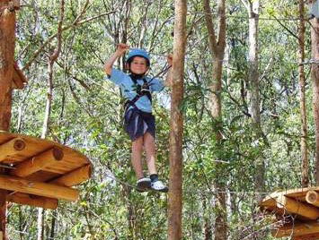 TreeTops Newcastle - Tourism Adelaide 0