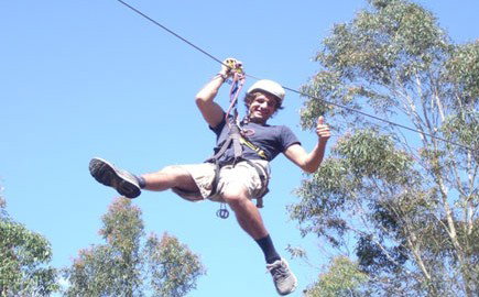 TreeTops Newcastle - Tourism Adelaide 1